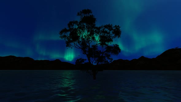 Night Sky Aurora Borealis Lake Loop 2