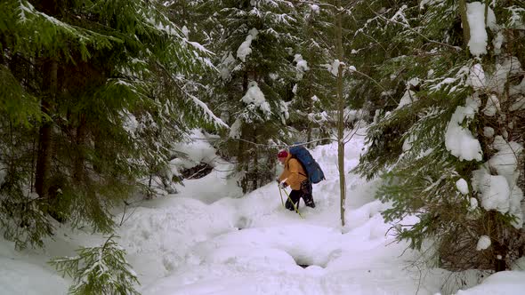 Backpacker Hiking in Winter Forest