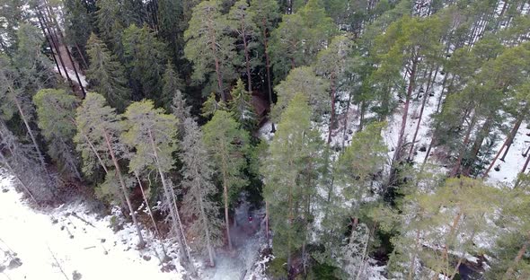 Slowly Flying Over Winter Forest Overlooking Cabin in Woods