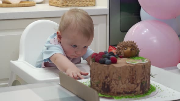 Baby Celebrate First Birthday Holiday Cute Small Child Trying to Reach the Cake One Year Old Kid