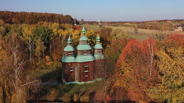 Aerial view of colorful forest on a sunny day in autumn. Mixed colors.