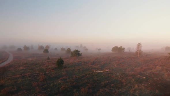 Aerial view of early morning misty landscape panning backwards revealing the wider field with a dirt