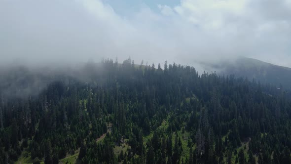 Cloud and forest aerial view