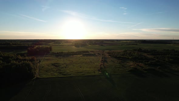 Sunset on the field