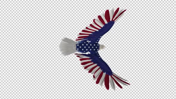 American Eagle - USA Flag - Flying Transition - VII - 4K