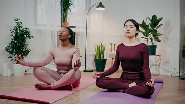 Two Peaceful Diverse Women Meditating at Home Sitting in Lotus Position with Closed Eyes and Making