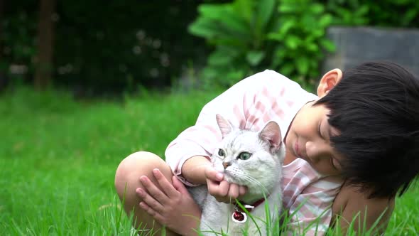 Cute Asian Child Playing With Scottish Cat In The Park