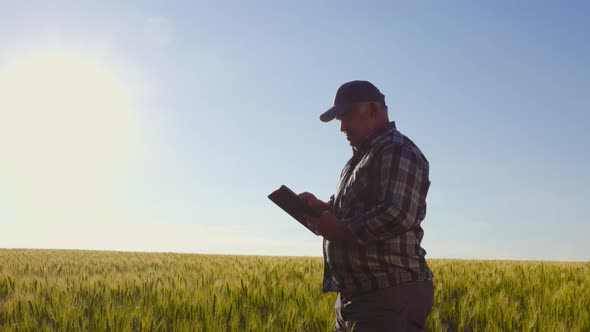 Senior Farmer Using Tablet in Field