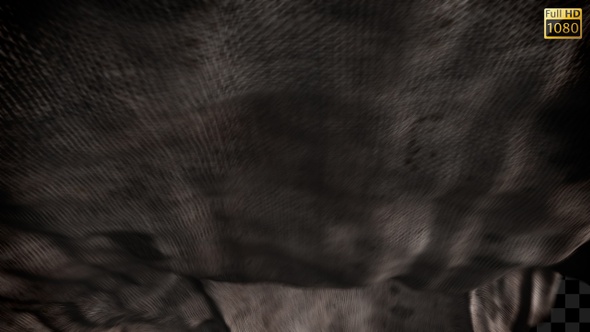 Halloween Transitions alt