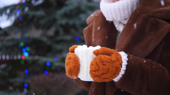 Woman Hands In Mittens Holding Hot Cup With Christmas Tree On The Background.