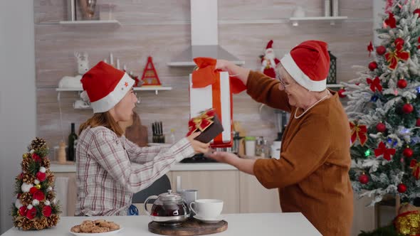 Grandmother Suprising Grandchild with Wrapper Present Gift Enjoying Traditional Winter Holiday