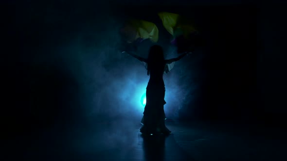 Exotic Belly Dancer Woman Dance with Two Multicolored Fans in Dark, Shadow, Smoke, Silhouette