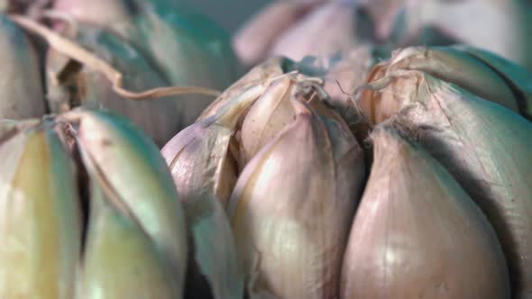 Slow Motion Close Shot of Head of Garlic Rotating