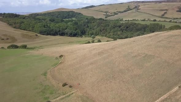 Wide aerial tracking forward towards the subtropical gardens near Abbotsbury, Dorset. Fields, hills