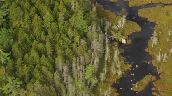 Early fall aerial footage of a remote lake in northern Maine tilting down to reveal meandering strea