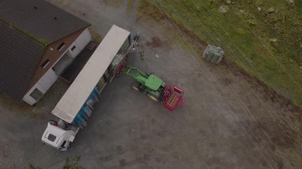 Forklift on tractor used to load wrapped Norwegian Christmas trees; aerial