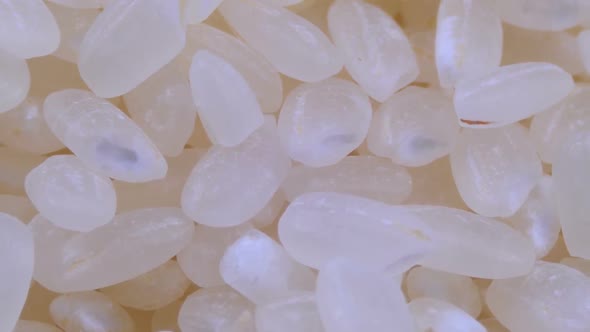 Grains of Raw Rice Rotate Close-up