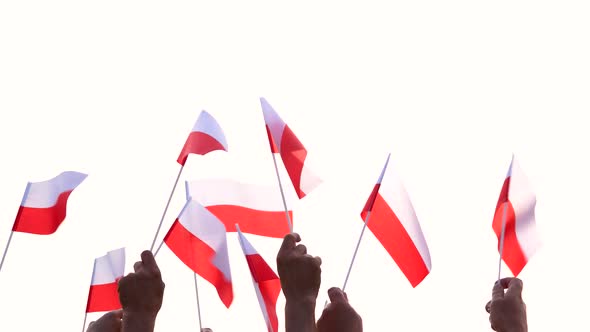 Patriotic Polish People Holding Flags Outdoors