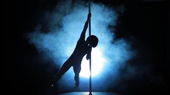 Silhouette of a Sexy Female Pole Dancing