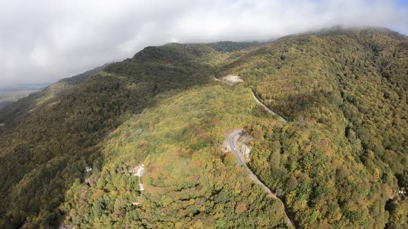 Sabaduri Mountain. Autumn forest. Georgia