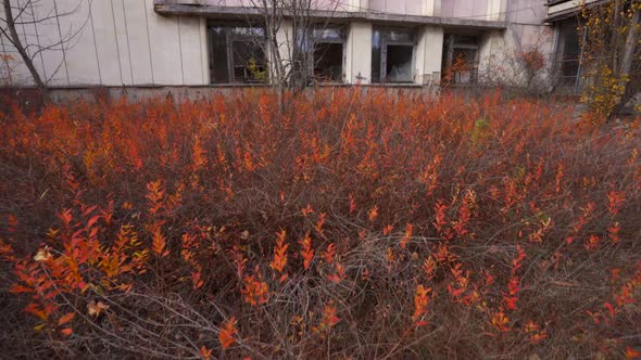 Steady Shot of Old Abandoned Building In Ghost Town Pripyat Ukraine Chernobyl Disaster Exclusion