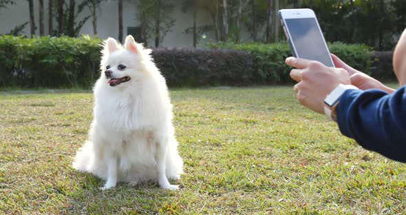 Woman taking photo on her dog in park