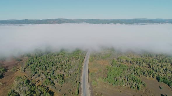 Aerial Panoramic View of an Intercity Road Between Green Trees with White Fog Clouds Over It