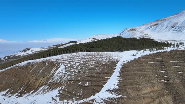 mountains, snow ,trees