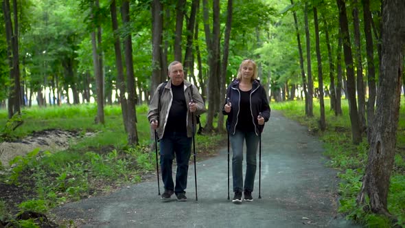 An Elderly Couple is Engaged in Nordic Walking in the Forest