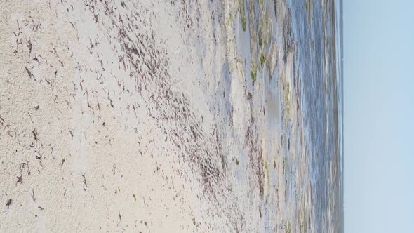 Zanzibar Tanzania  Vertical Video of Low Tide in the Ocean Near the Coast Slow Motion