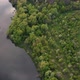 View of the river from above. Flight over water and forest trees from a height - VideoHive Item for Sale