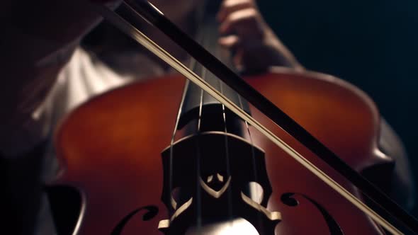 Woman Plays on Strings of the Cello with a Bow and a Hand in Studio