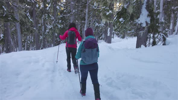 Adventure Girl Friends Hiking in Canadian Mountain Nature During Winter Sunny Morning