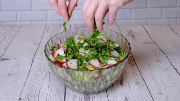 Chef Sprinkles Parsley a Fresh a Vegetable Salad with Radish Cucumber Greens
