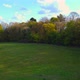 Aerial Drone Shot Slowly Rolling Over an Open Field Towards Trees Epping Forest - VideoHive Item for Sale
