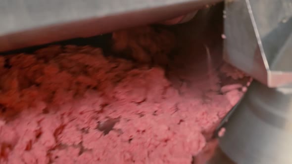 Production of Sausages and Smoked Meat in the Meat Industry