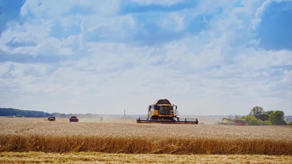 Agricultural machine harvesting field. Modern combine harvesting wheat field