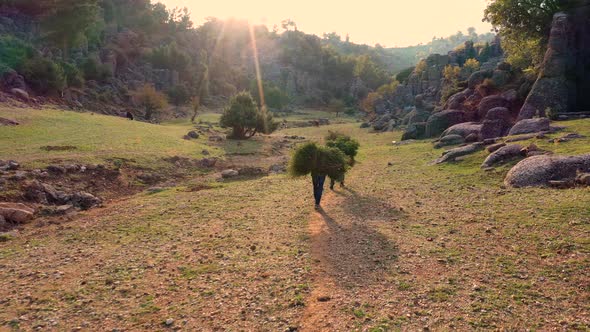 Mountain Valley with Farmers Domestic Animals and Granite Rock Formations