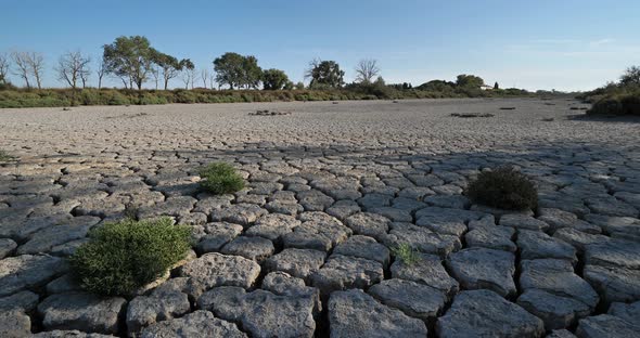 Dryness in the Camargue, France