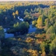 Aerial View of the River Among Forest in the Wild During Fall Season at Sunset - VideoHive Item for Sale