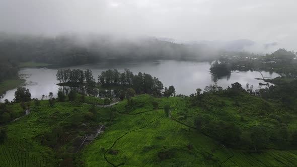 Aerial view of misty landscape forest in Situ Patenggang, Bandung, Indonesia