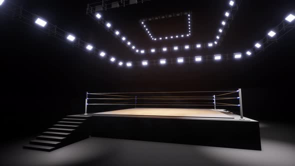 Sports Wrestling And Boxing. Sport 4K Professional Background Animation