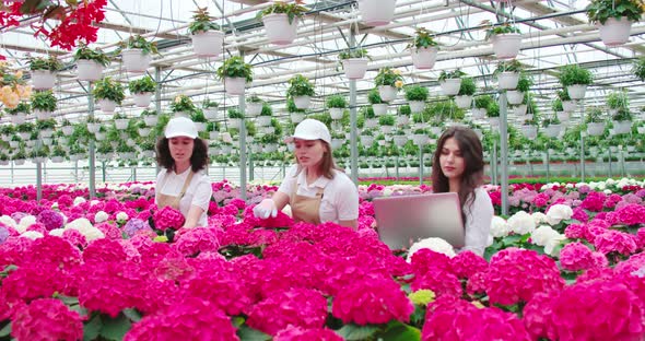 Female Workerks Checking Plants at Greenhouse with Laptop