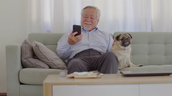 elderly asian man sitting on sofa and using mobile phone and smile with dog pug breed at home