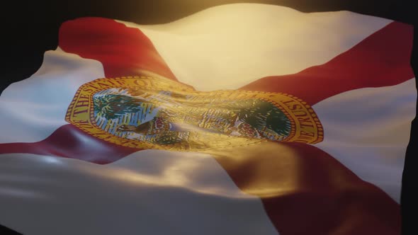 Florida State Flag Low Angle View