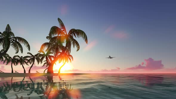 . Aircraft Flying Over Tropical Coast, Moving Sea alt