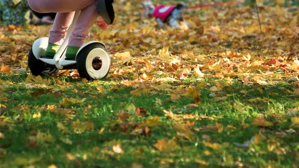 Little Kid Riding Gyroscooter on the Grass.