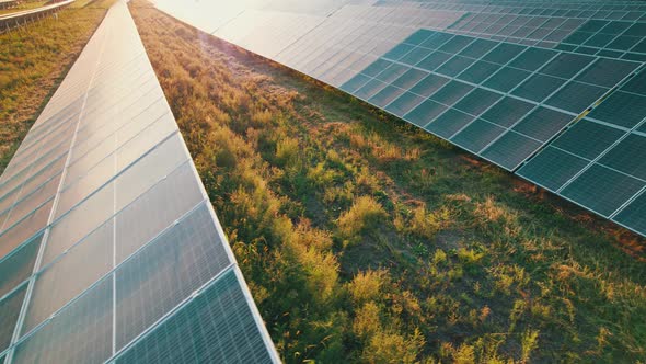 Aerial View Solar Power Station on Green Field at Sunset Solar Panels in Row