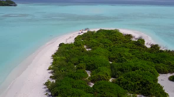 Aerial drone nature of shore beach wildlife by sea and sand background