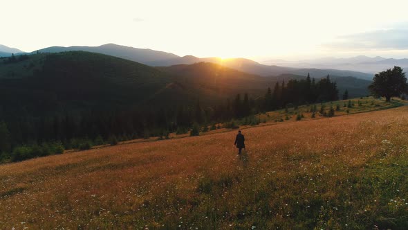 a Guy Walks in a Valley of Wooden Mountains